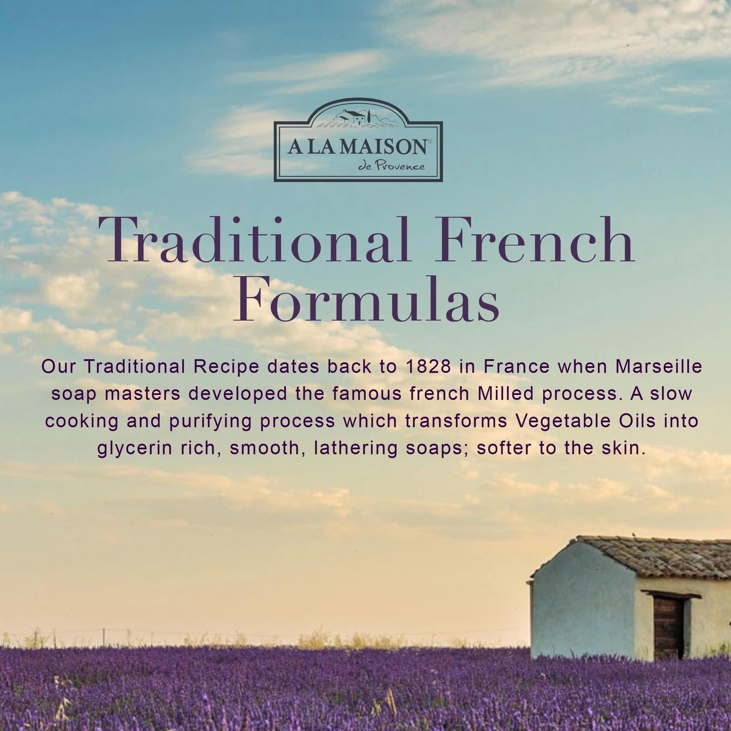 A LA MAISON Provence Lemon Hand Soap Refill – French Craft, Plant-Based, Biodegradable, 2 Pack