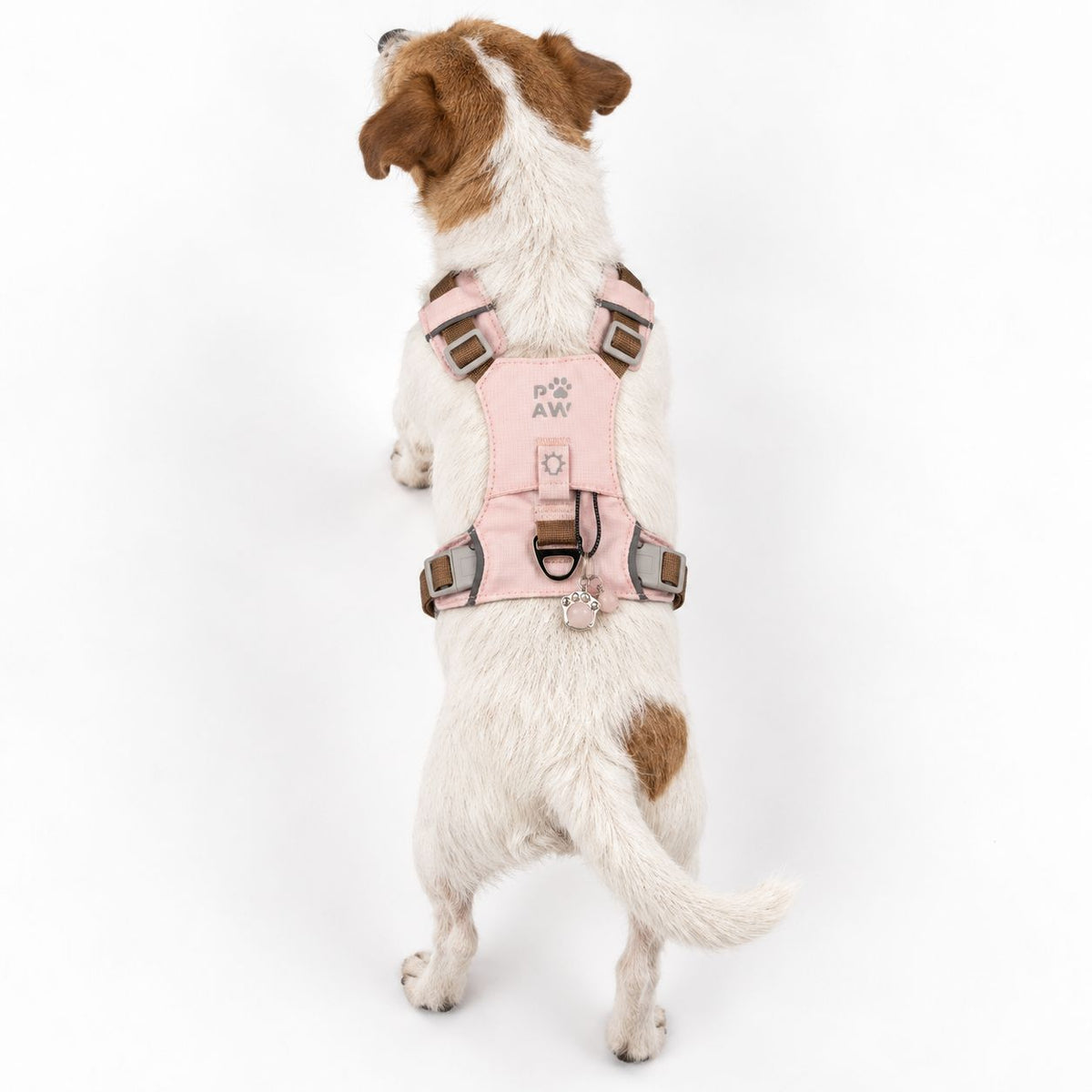 PAW - S (4-8Kg) Dog Step-in Guardian Harness