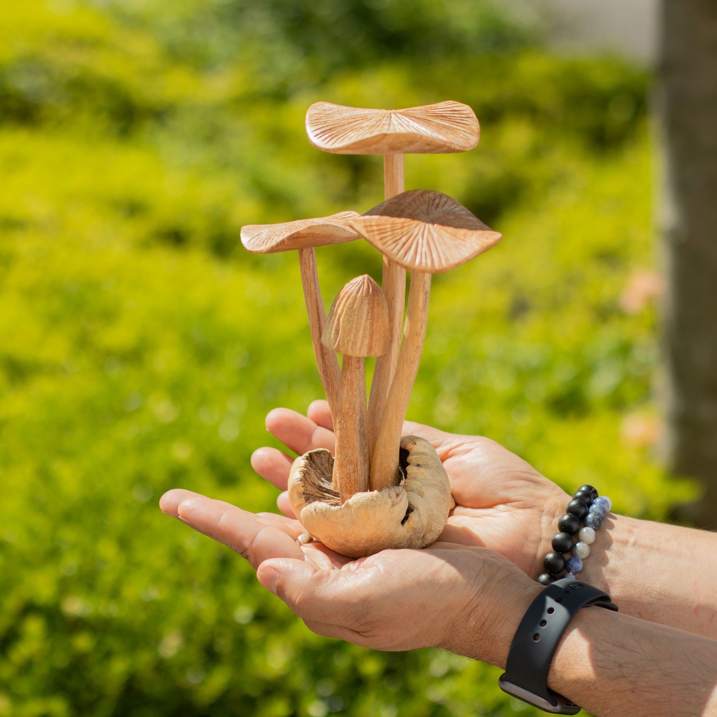 Handmade Parasite Wood Art Carving - Set of 4 Large Mushrooms