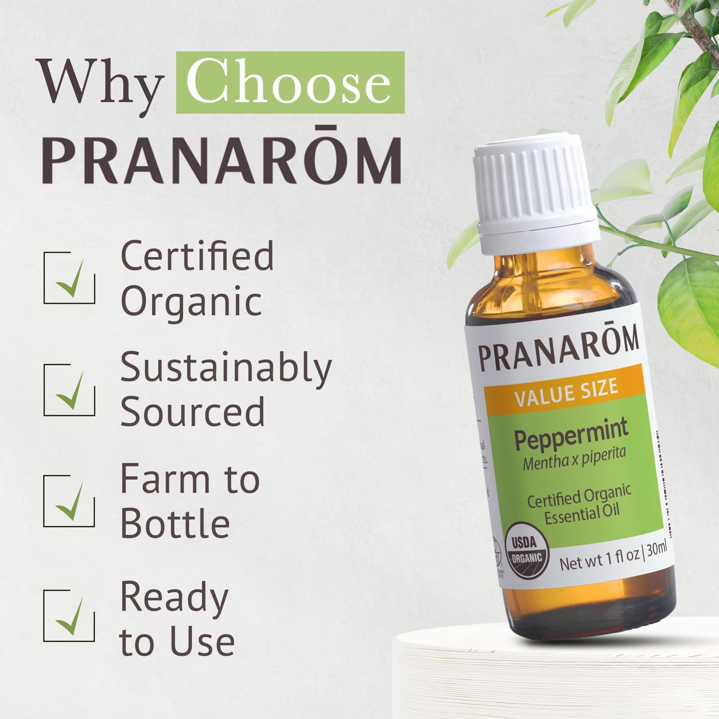 Pranarom USDA Organic Peppermint Essential Oil (30ml) – 100% Pure, Therapeutic Grade