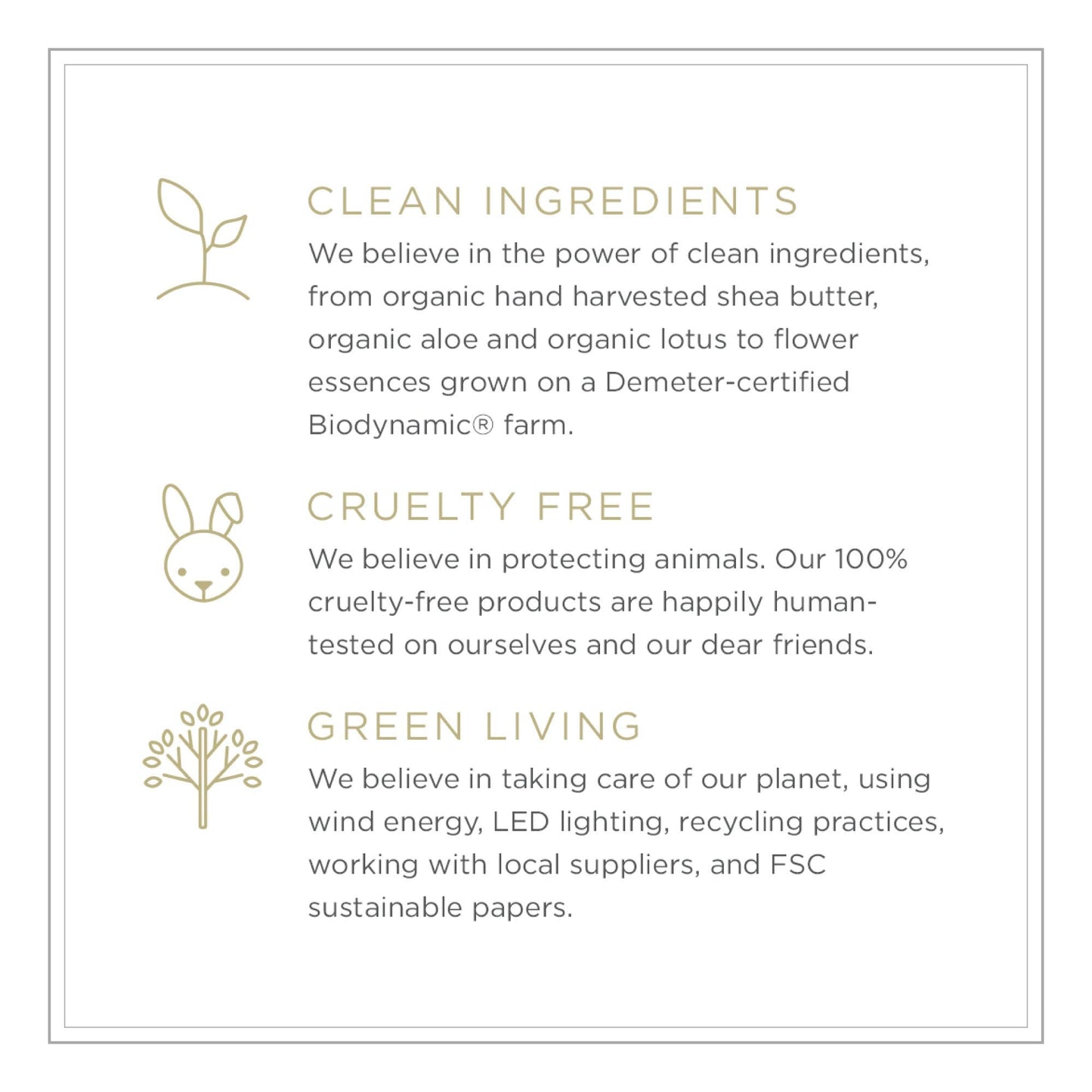 ZENTS Hand & Body Wash Earth Fragrance | Hydrating Cleanser with Organic Shea Butter & Aloe | 10 oz
