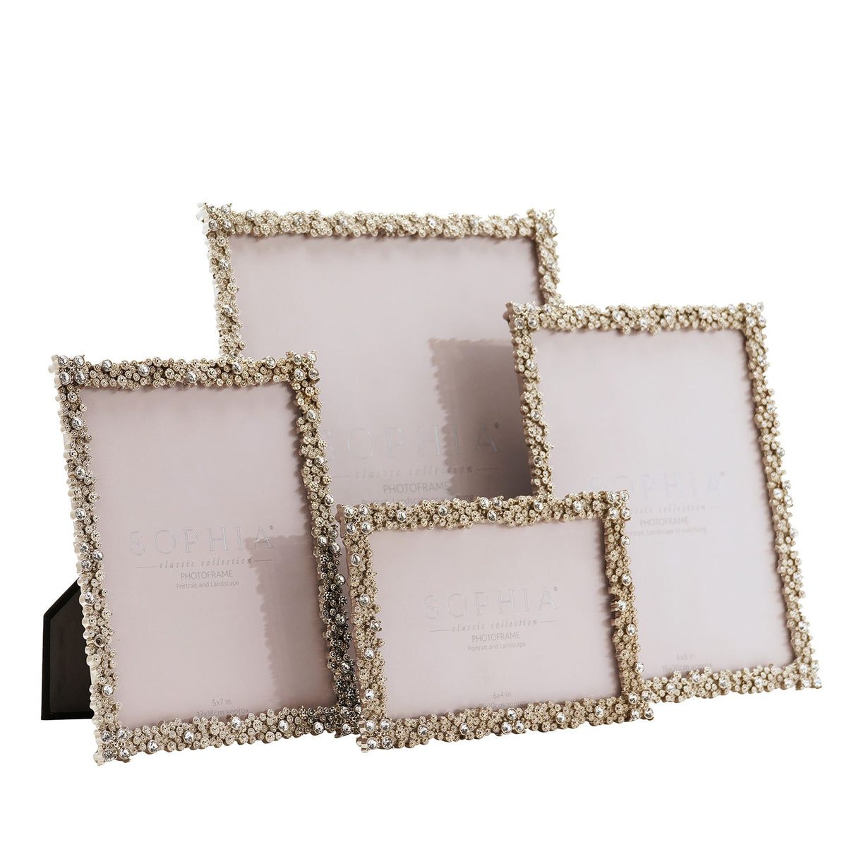 Sophia Cluster Rectangular Photo Frame 6" x 8"
