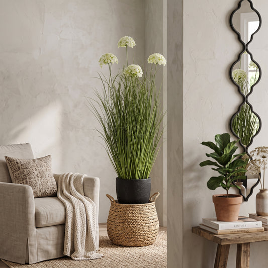 Large White Allium Plant In Pot