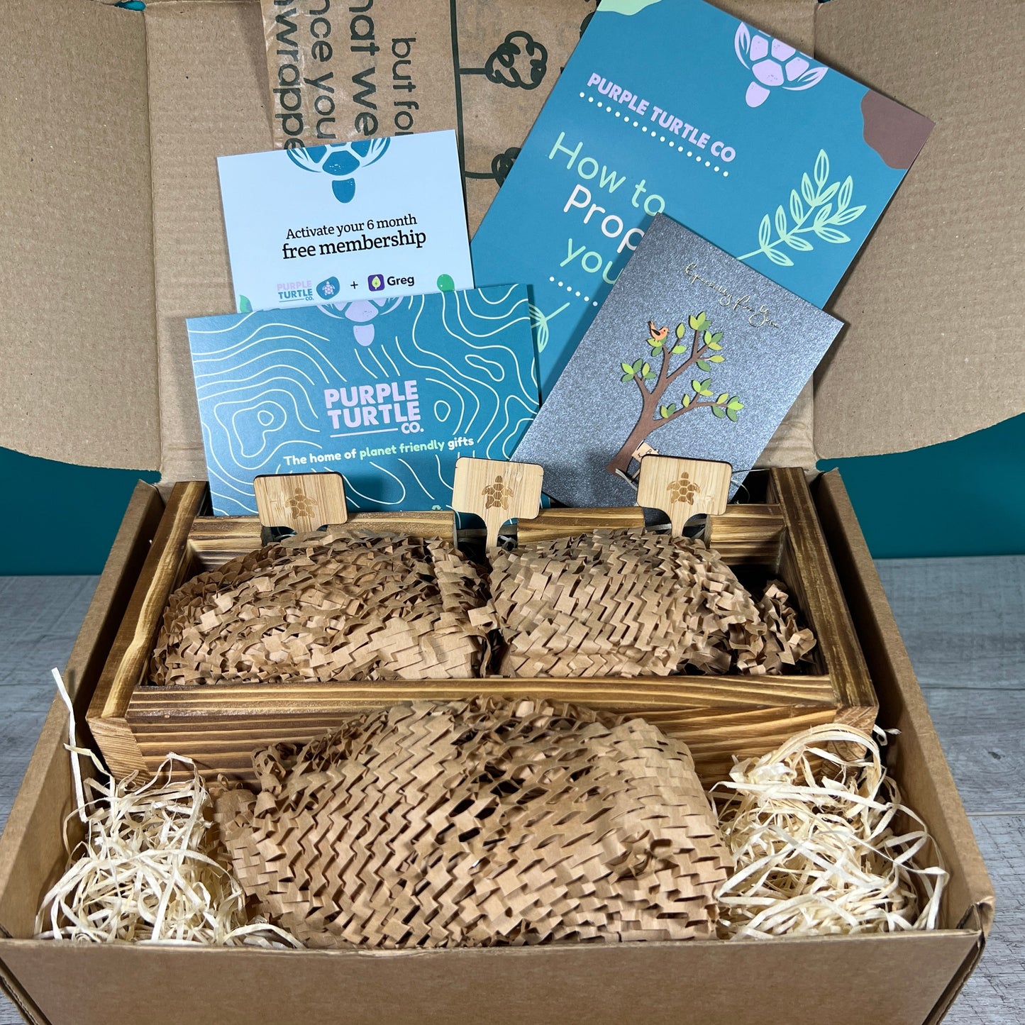 Plant Propagation Gift Set #5
