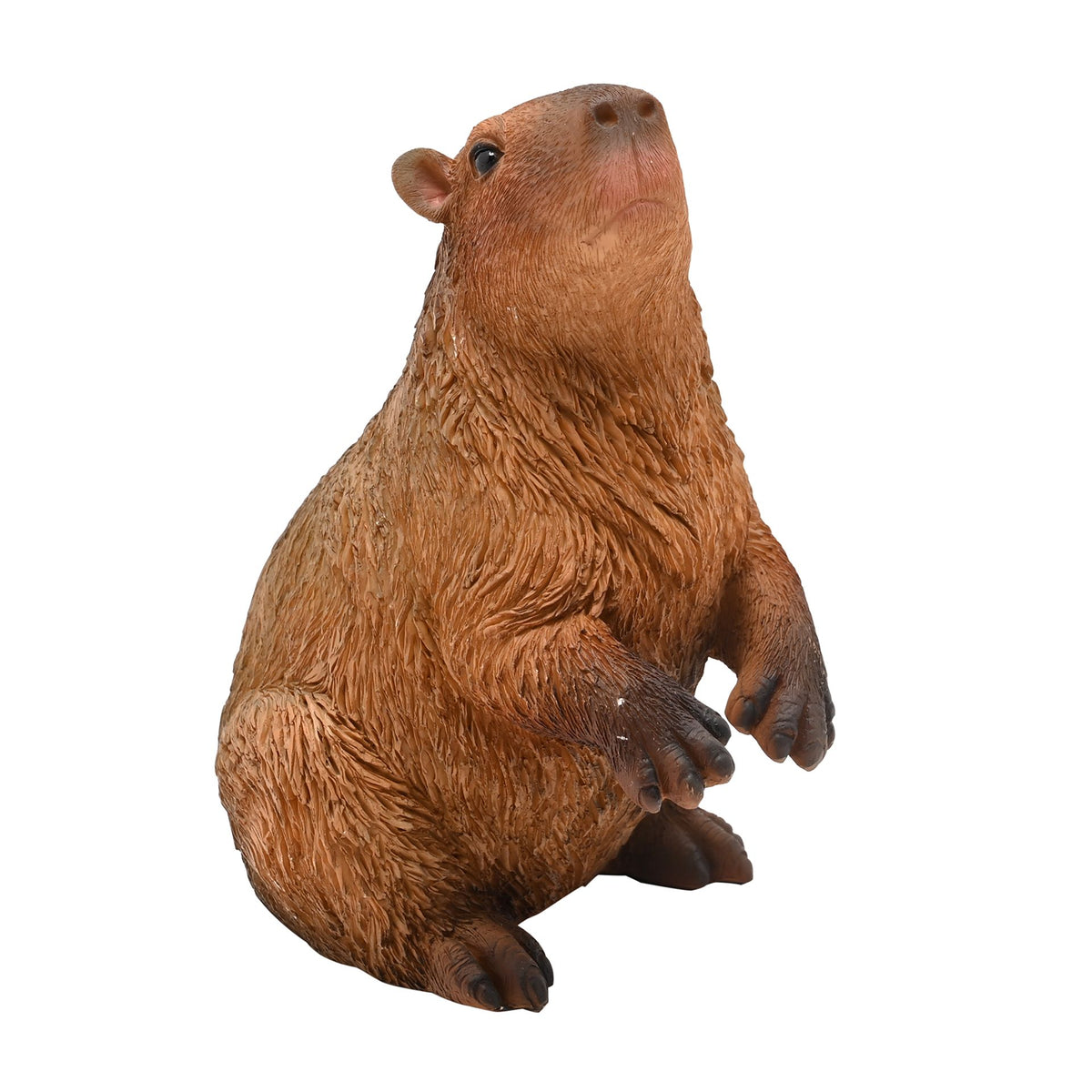 Naturecraft Capybara On Hind Legs 17cm