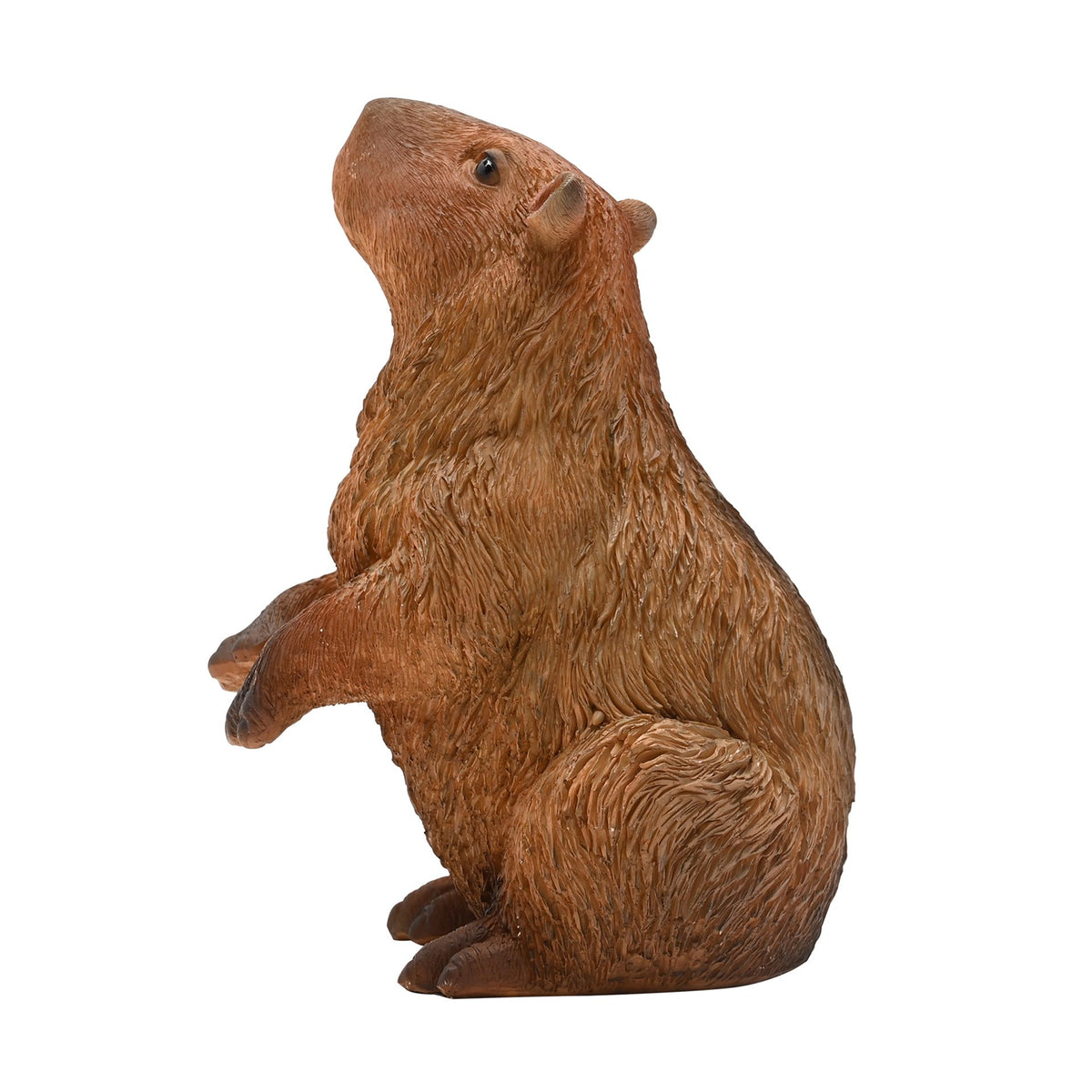 Naturecraft Capybara On Hind Legs 17cm