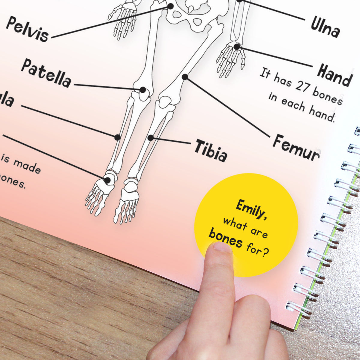 Personalised Children's Encyclopedia