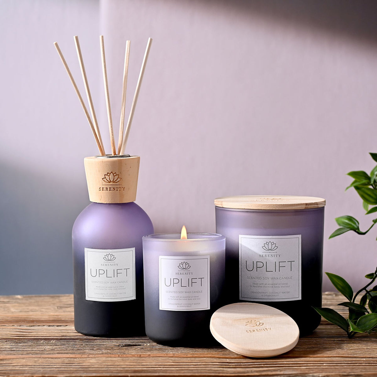 Serenity Uplift Glass Diffuser 220ml Dragonfruit, Grapefruit