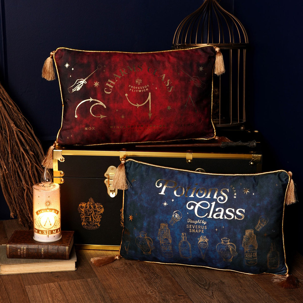 Harry Potter Alumni Velvet Cushion 50 x 30cm - Potions Class