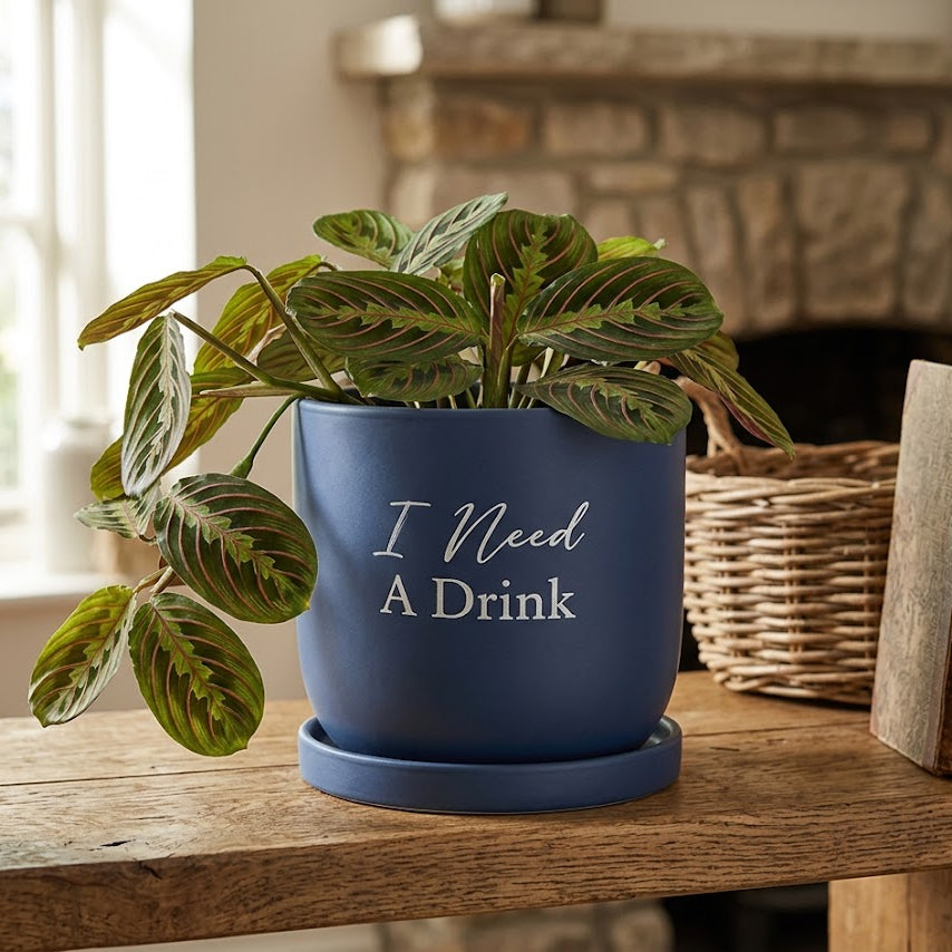 Country Living Ceramic Plant Pot - "I Need A Drink"