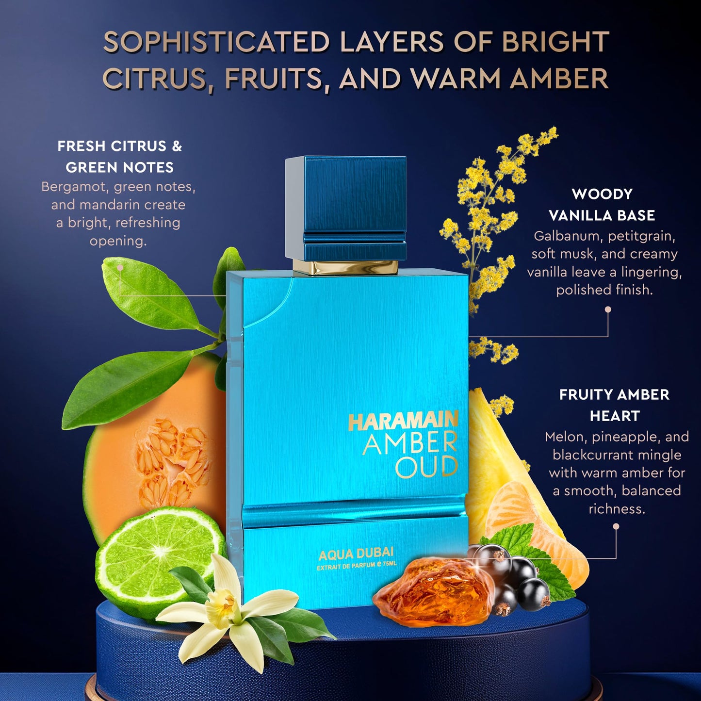Al Haramain Amber Oud EDP – Aqua Dubai for Men | Oud Cologne + Atomizer