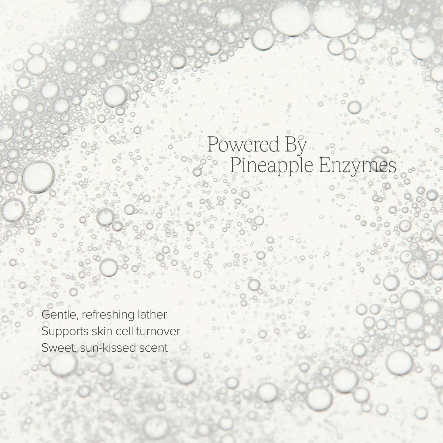 Alo Enzyme Facial Cleanser | Pineapple Enzymes + Aloe + Vitamin E | 3.2 fl oz