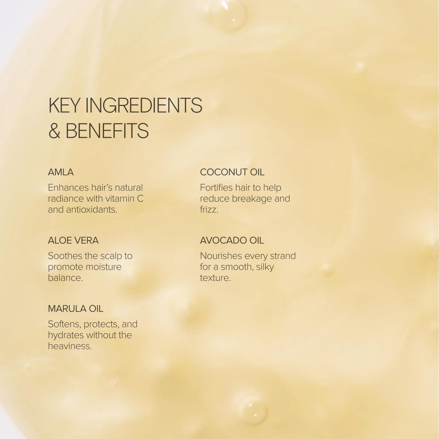 Alo Shine Shampoo | Smooths, Frizz-Control & Bounce for All Hair Types | Sulfate-Free & Botanical Oils | Grapefruit Scent | 10 fl oz