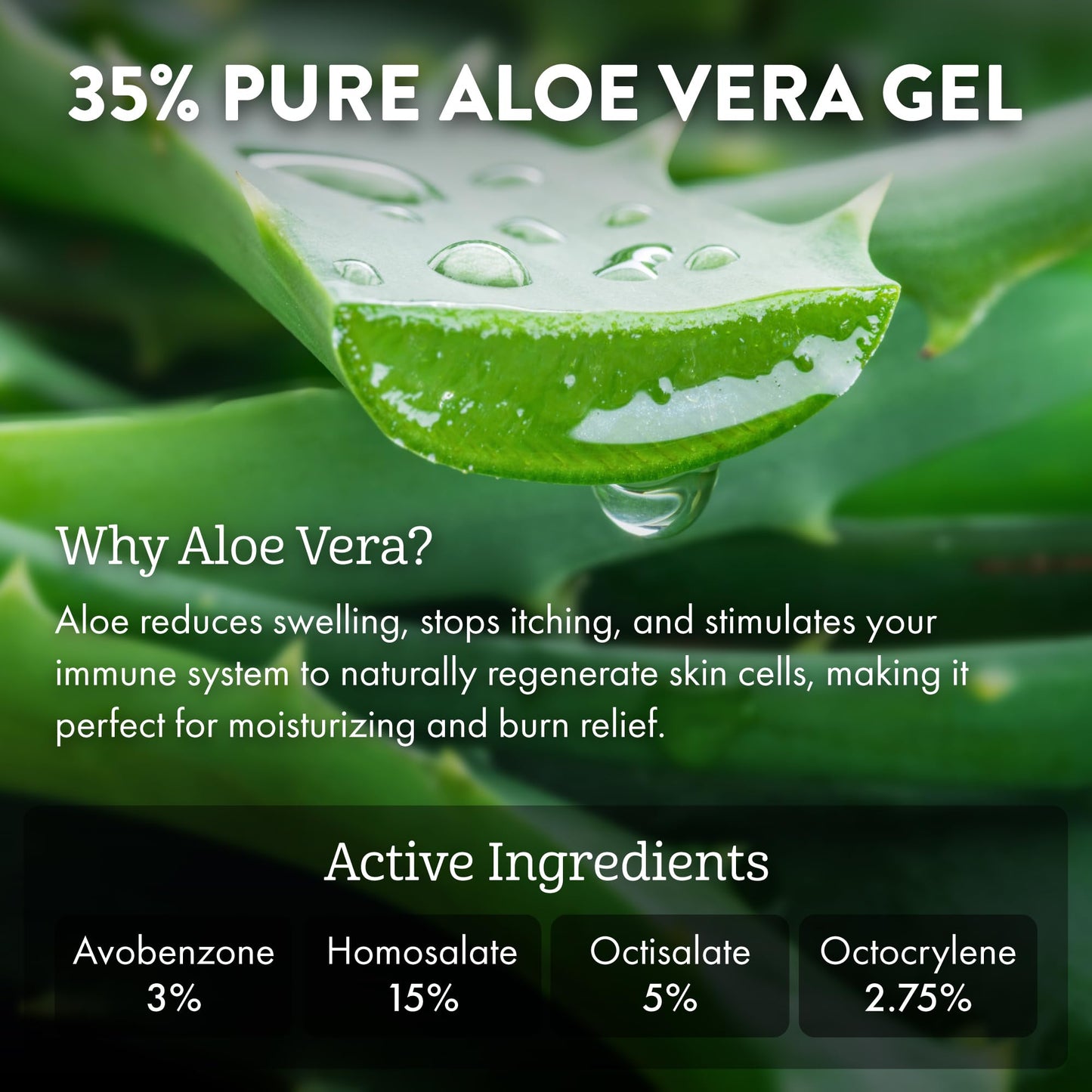 Aloe Up Sport SPF 50 Continuous Spray Sunscreen – Reef Safe, Fragrance-Free (2-Pack, 6 oz)