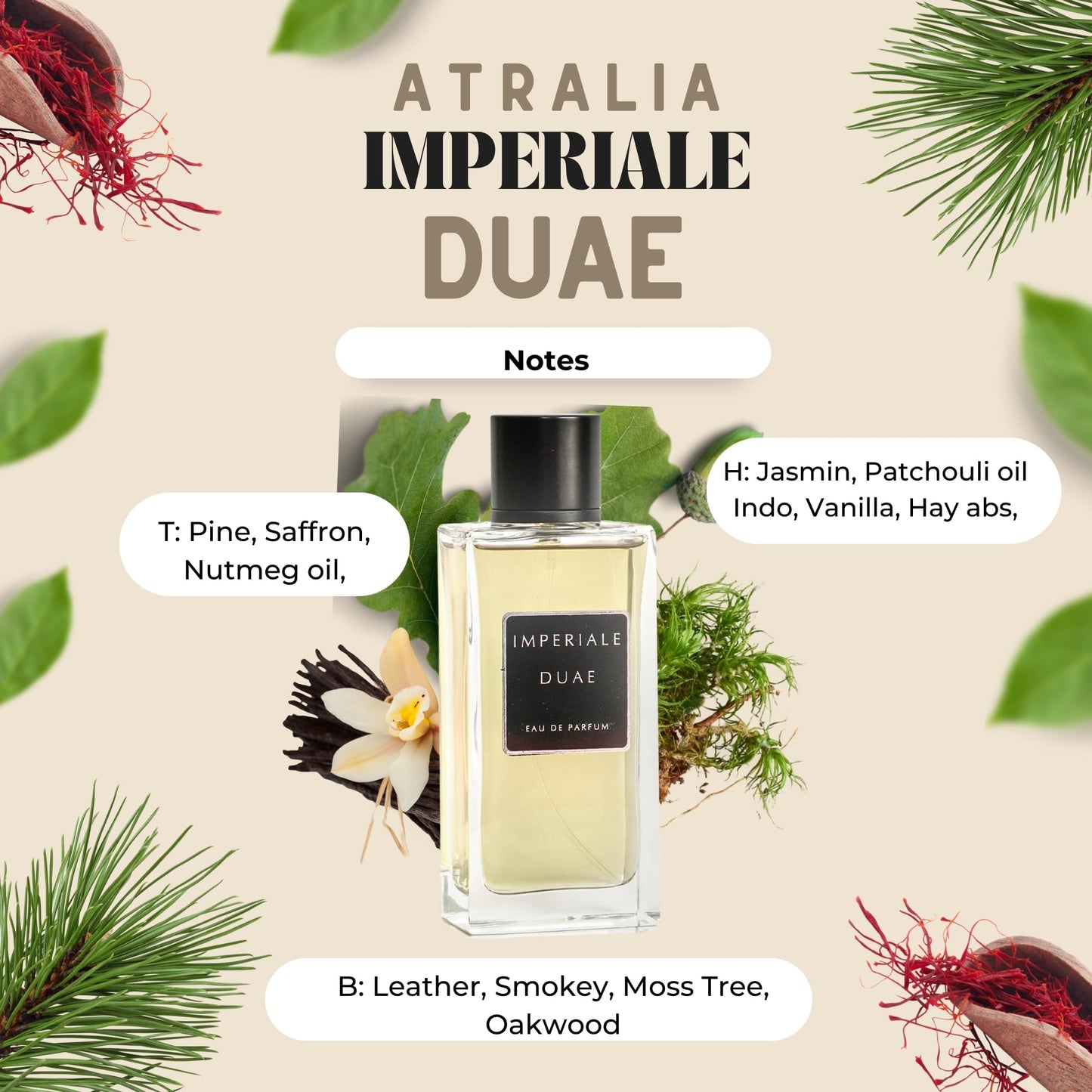 Atralia Imperial Duae – Men’s Middle Eastern Scent | Original EDP | Travel Size