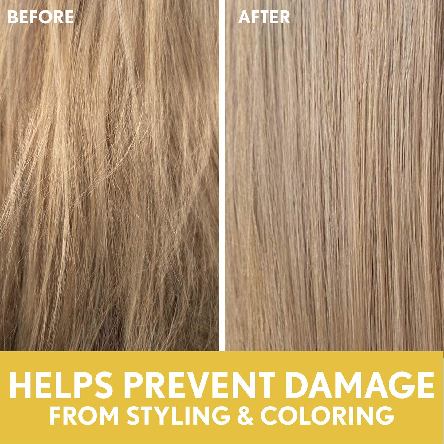 Aveeno Deep Moisturizing Sunflower Oil Blend Shampoo with Oat – Sulfate & Paraben Free for Dry Damaged Hair (12 oz)