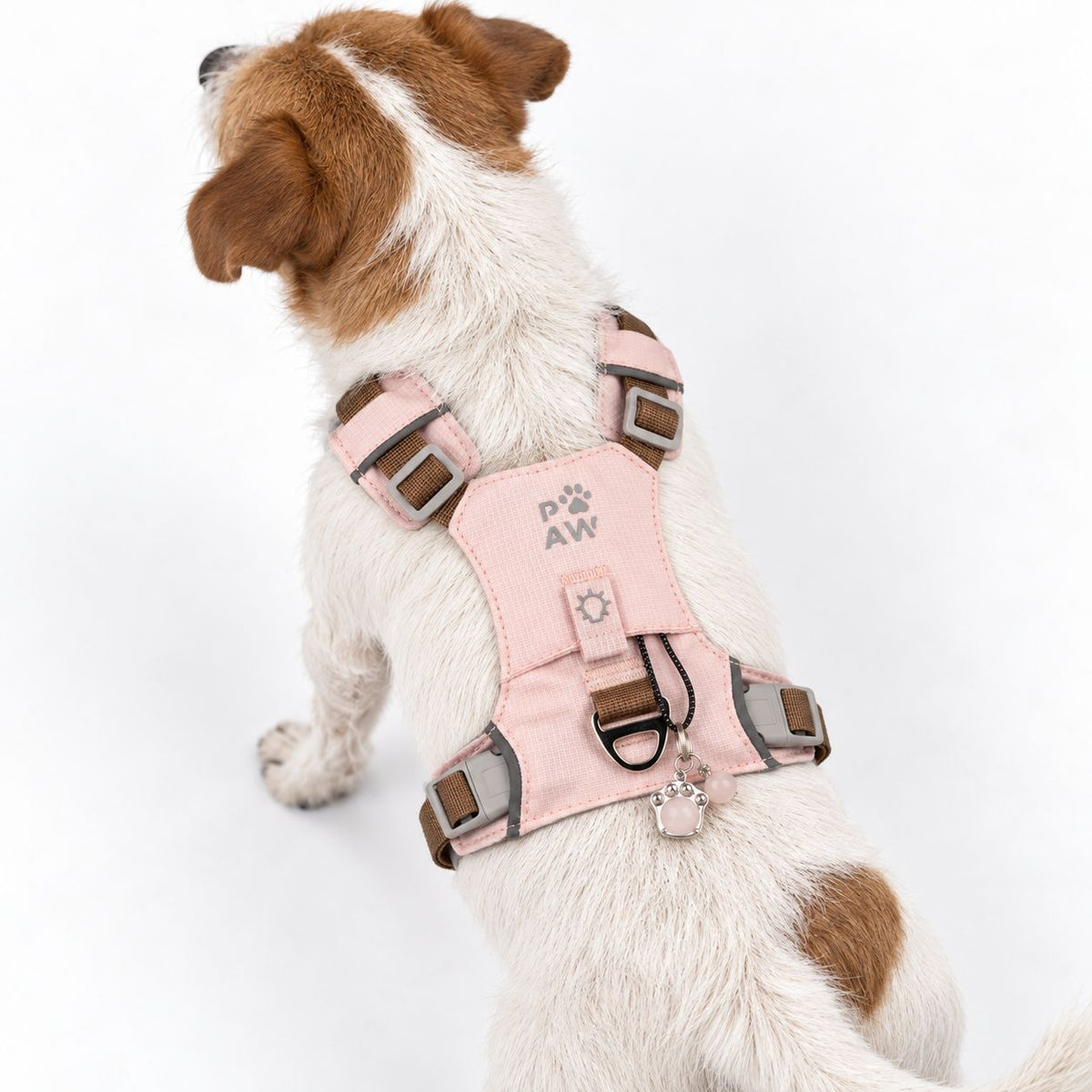 PAW - S (4-8Kg) Dog Step-in Guardian Harness