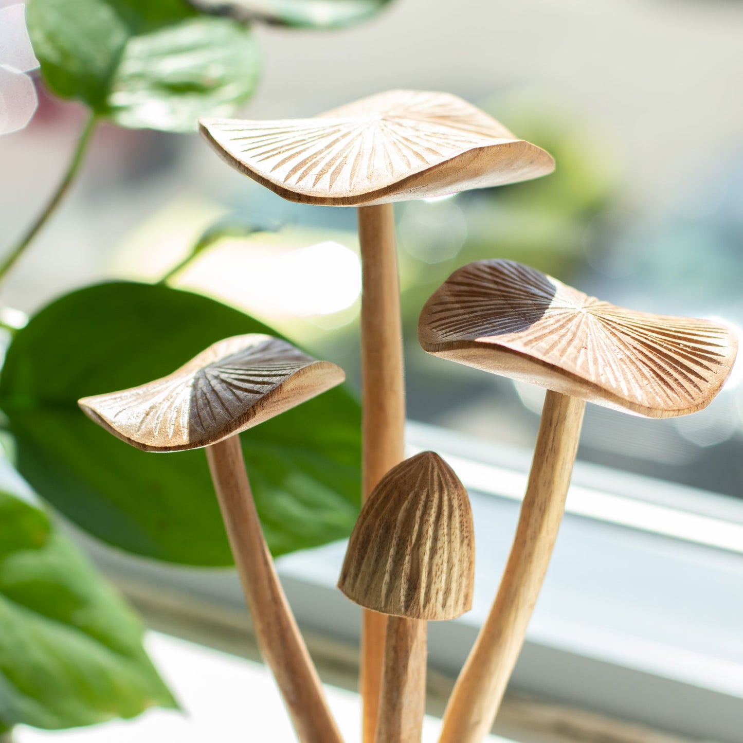 Handmade Parasite Wood Art Carving - Set of 4 Large Mushrooms