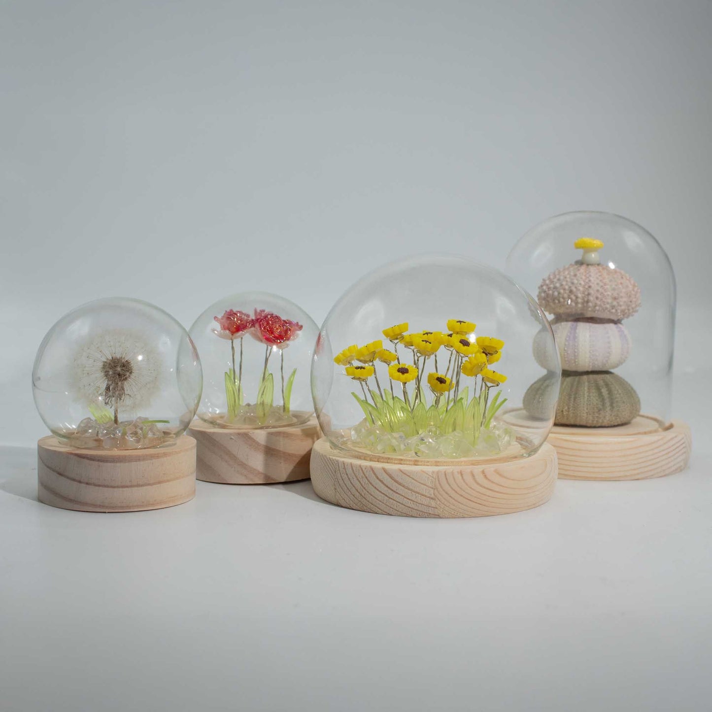 Floral Glow Garden Dome - 2 Dandelions - LED USB