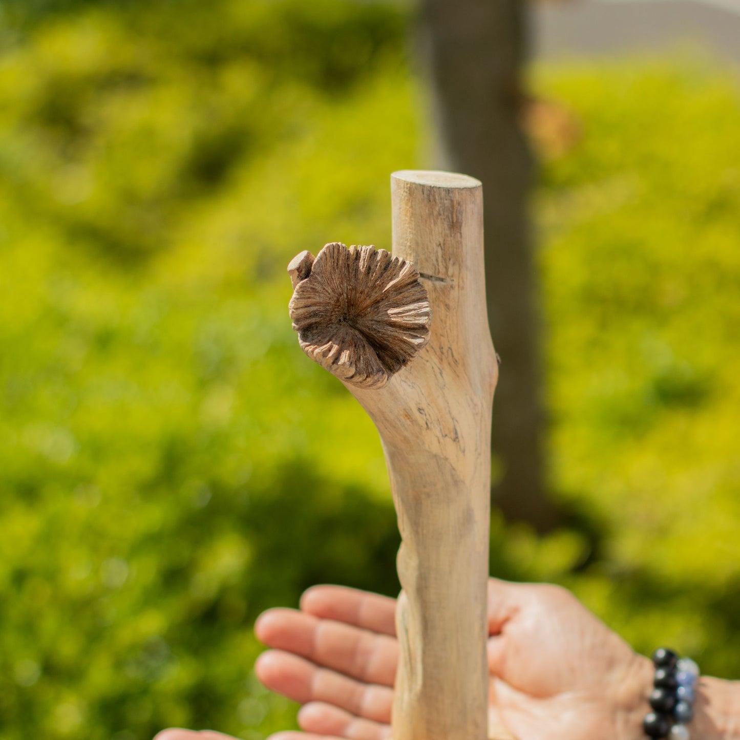 Handmade Parasite Wood Art Carving - Greenman