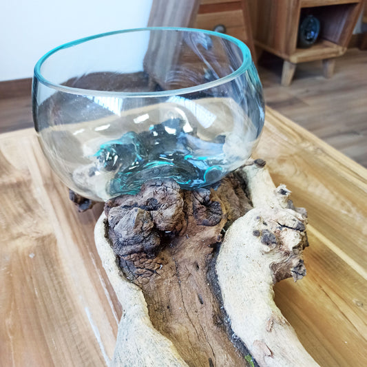 Clear glass bowl with blue interior on a piece of driftwood