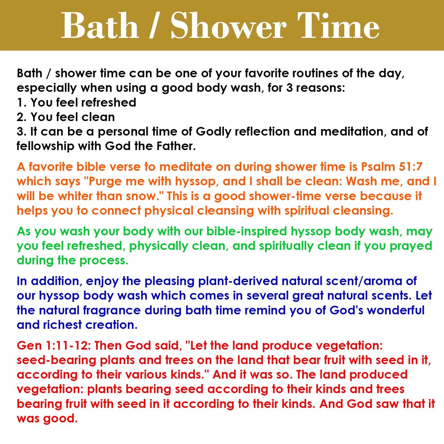 BIBLE N Beautyoils Hyssop Hair & Body Wash – Natural Cleanse