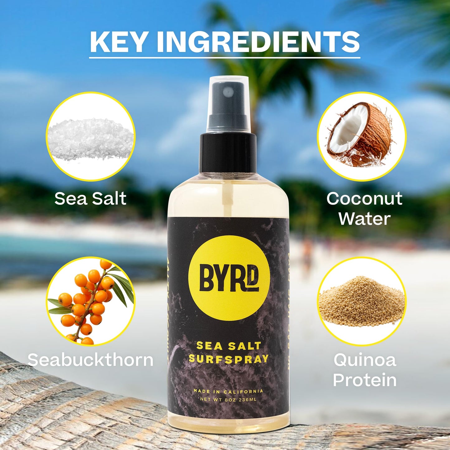 BYRD Sea Salt Surfspray – Salty Coconut Scent, Texturizing & Volumizing Sea Salt Spray for Men, 8 oz, Pack of 2