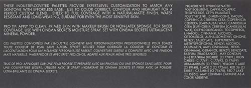 Cinema Secrets Ultimate Foundation 5-in-1 Palette – Med-Deep Pink-Beige Undertones | Buildable, Long-Wear Matte, Paraben-Free