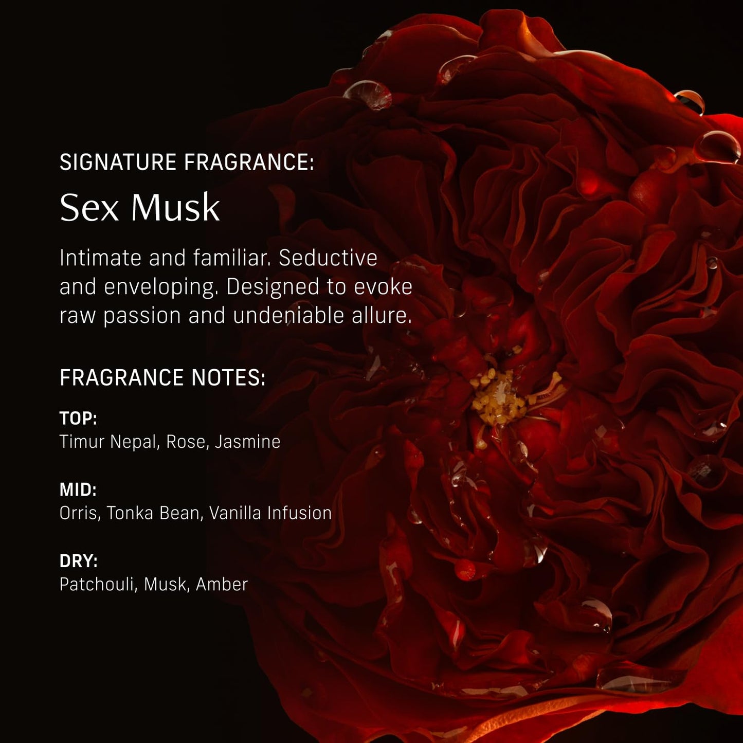 CYKLAR Perfume Oil Roll-On – Sex Musk with Rose, Tonka & Musk | 0.5 fl oz