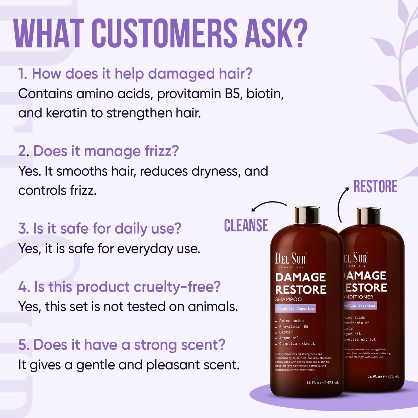DEL SUR Hair Repair Shampoo & Conditioner Set | 16 fl oz Each | Camellia Japonica, Amino Acids, Biotin & Argan Oil