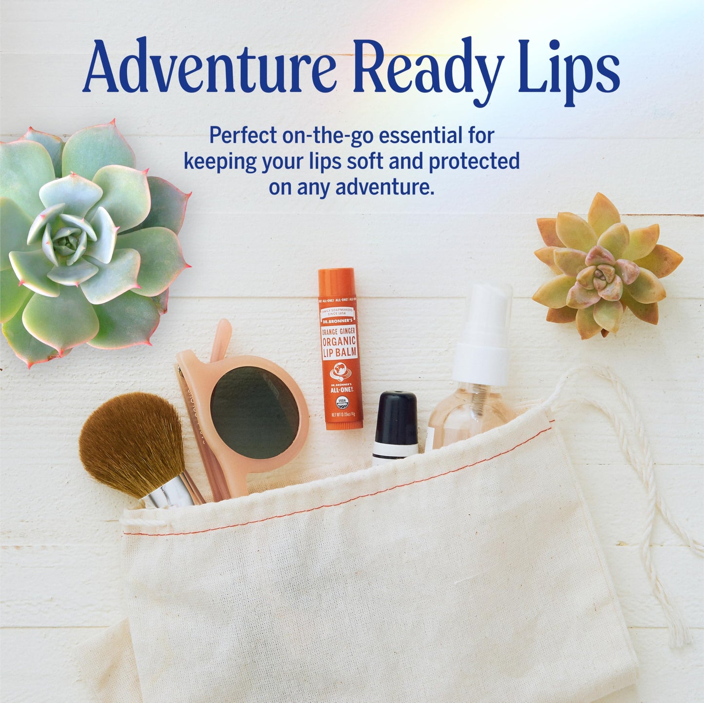 Dr. Bronner’s Organic Lip Balm 6-Pack (0.15oz) – Natural, Petroleum-Free Lip Care, Orange Ginger