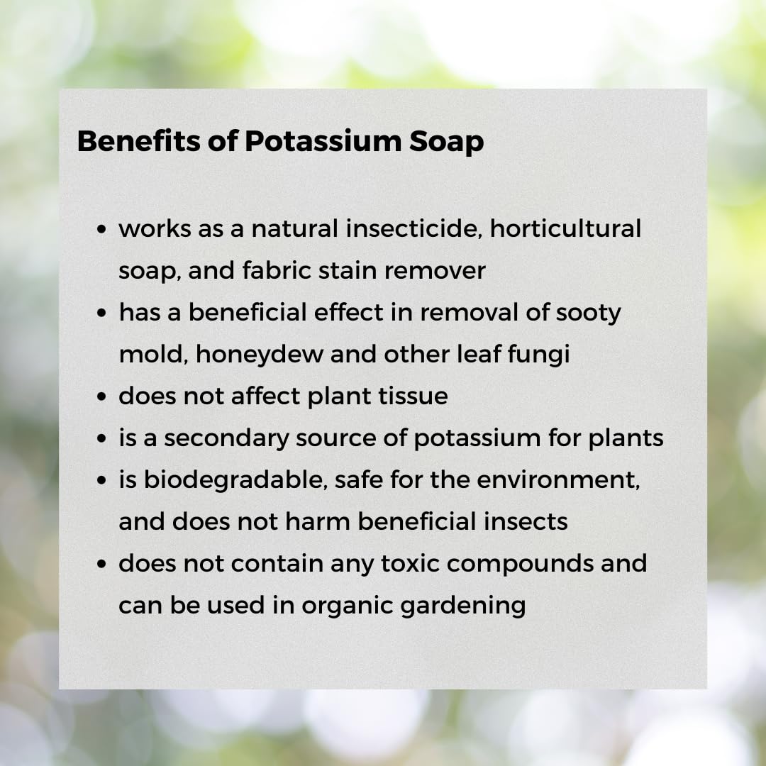 Ecoworm Organic Potassium Soap Concentrate – Plant-Based Horticultural Formula | Dilutable Soap for Plants & Garden Care (34 fl oz)