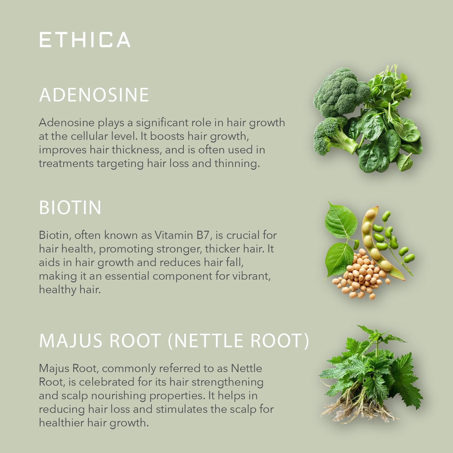 Ethica Beauty Corrective — Daily Leave-In for Men | Scalp Health & Hair Growth