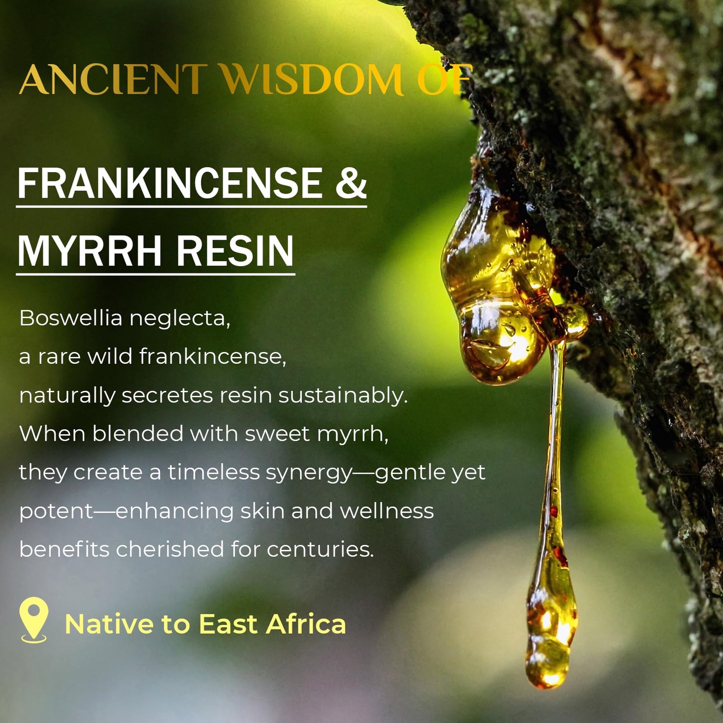FeeMeFee Frankincense Balm 4oz – Soothing Skin Moisturizer with Myrrh, Boswellia Serrata & Olive Oil