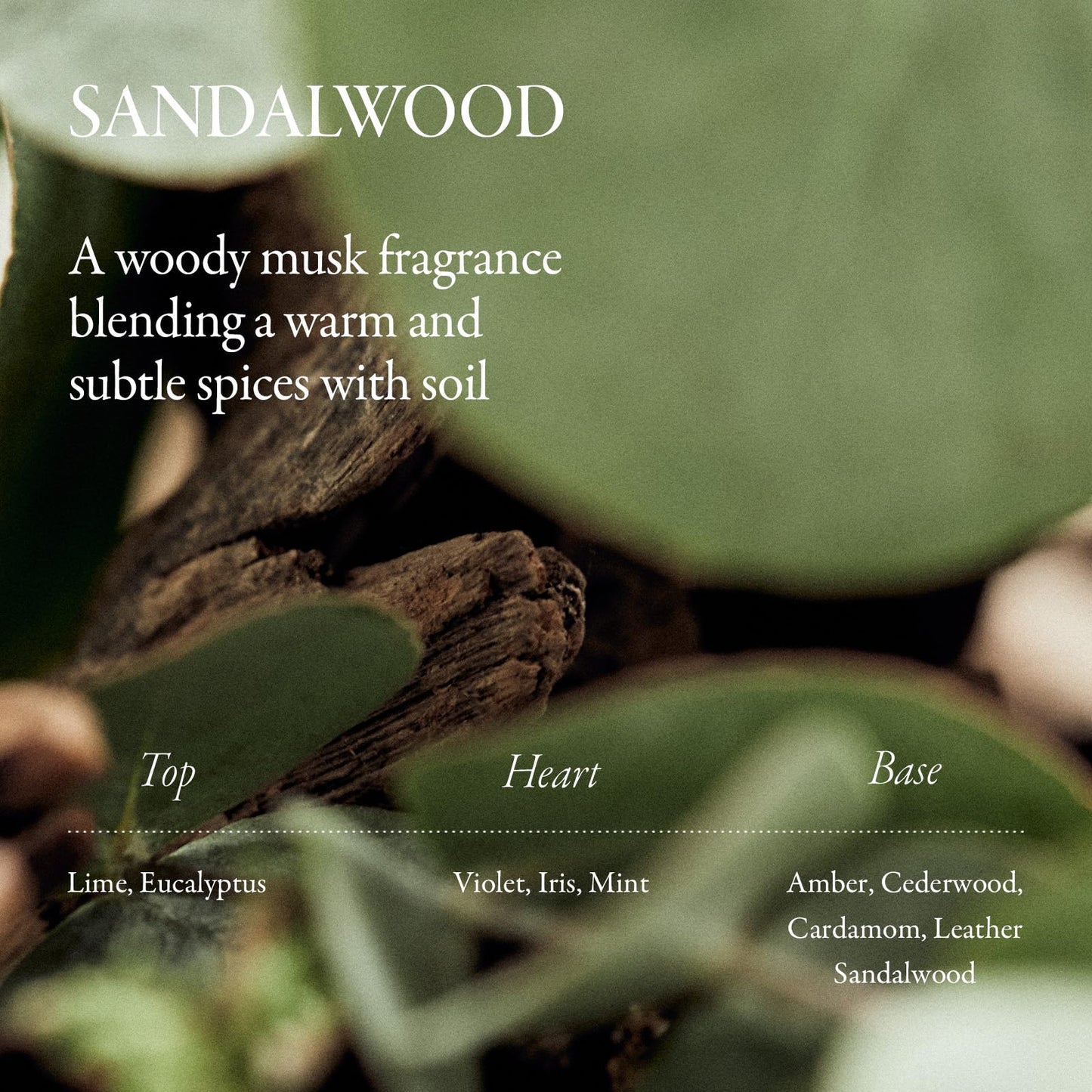 LONGTAKE Sandalwood Intensive Hair Oil 40ml – Heat Protection, Anti-Frizz, Split End Repair | All Hair Types