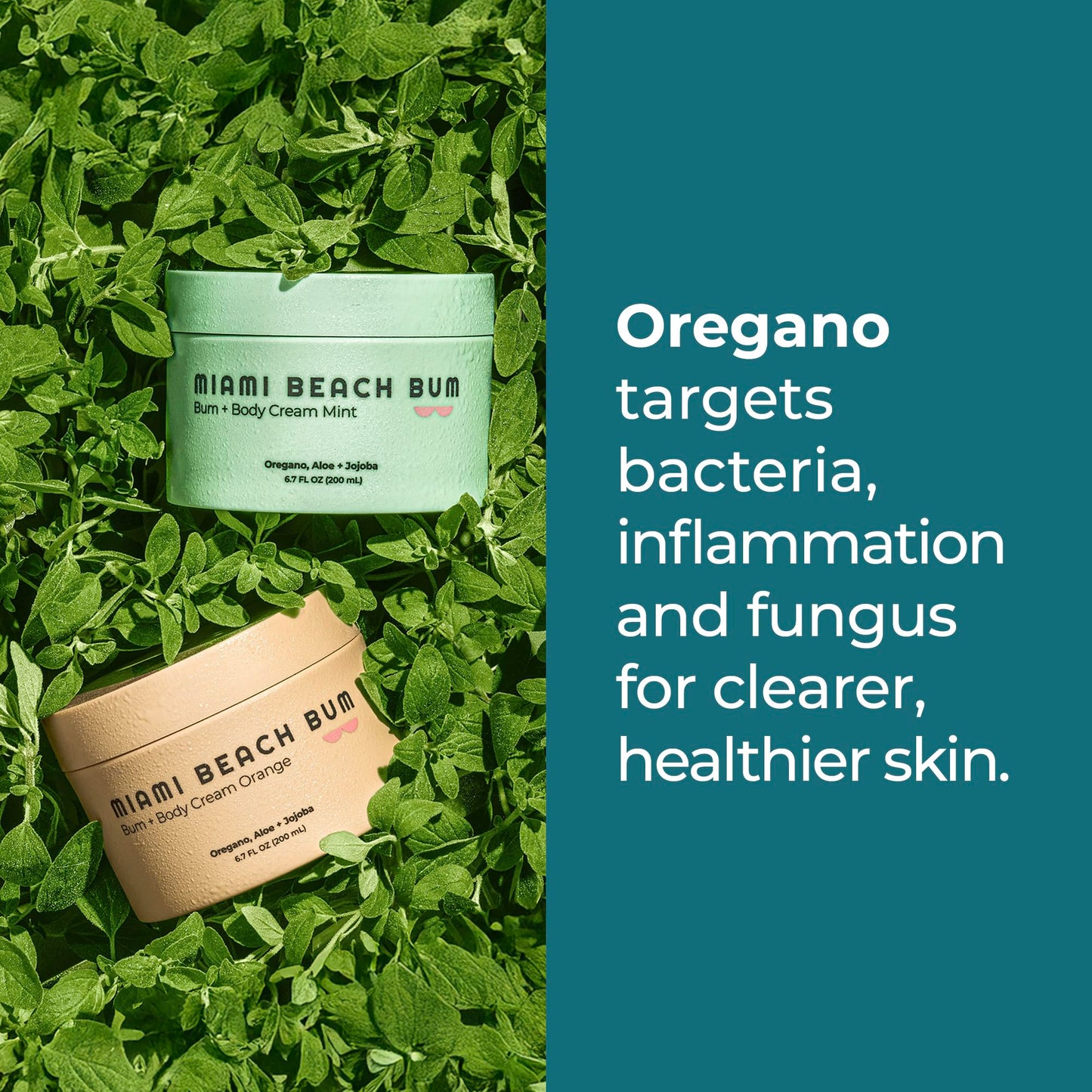 Miami Beach Bum Bum + Body Butter Cream – Daily Moisturizer with Oregano Oil (3.4 oz)