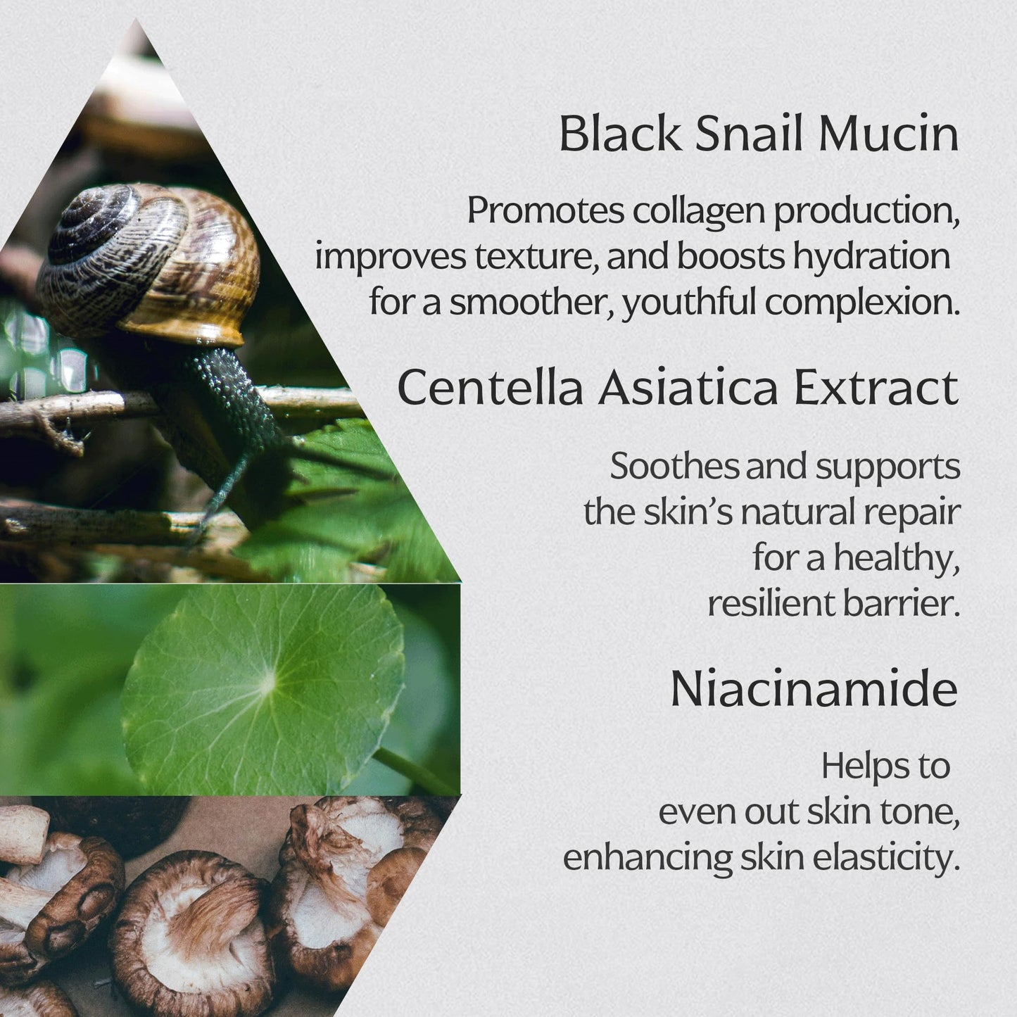 MIZON Black Snail All In One Cream – Intensive Snail Mucin Moisturizer 2.54 fl oz