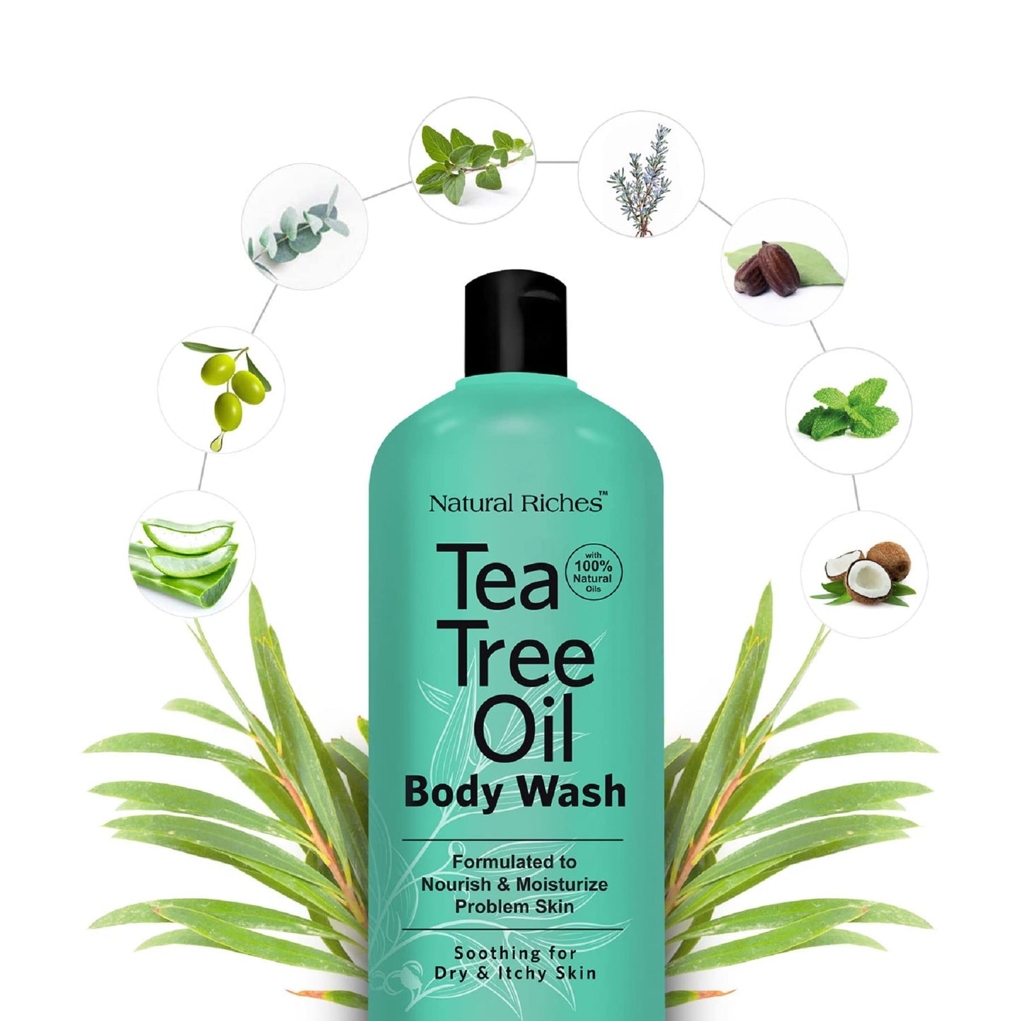 Natural Riches Tea Tree Body Wash 2x16 oz – Soothing, Hydrating for All Skin Types