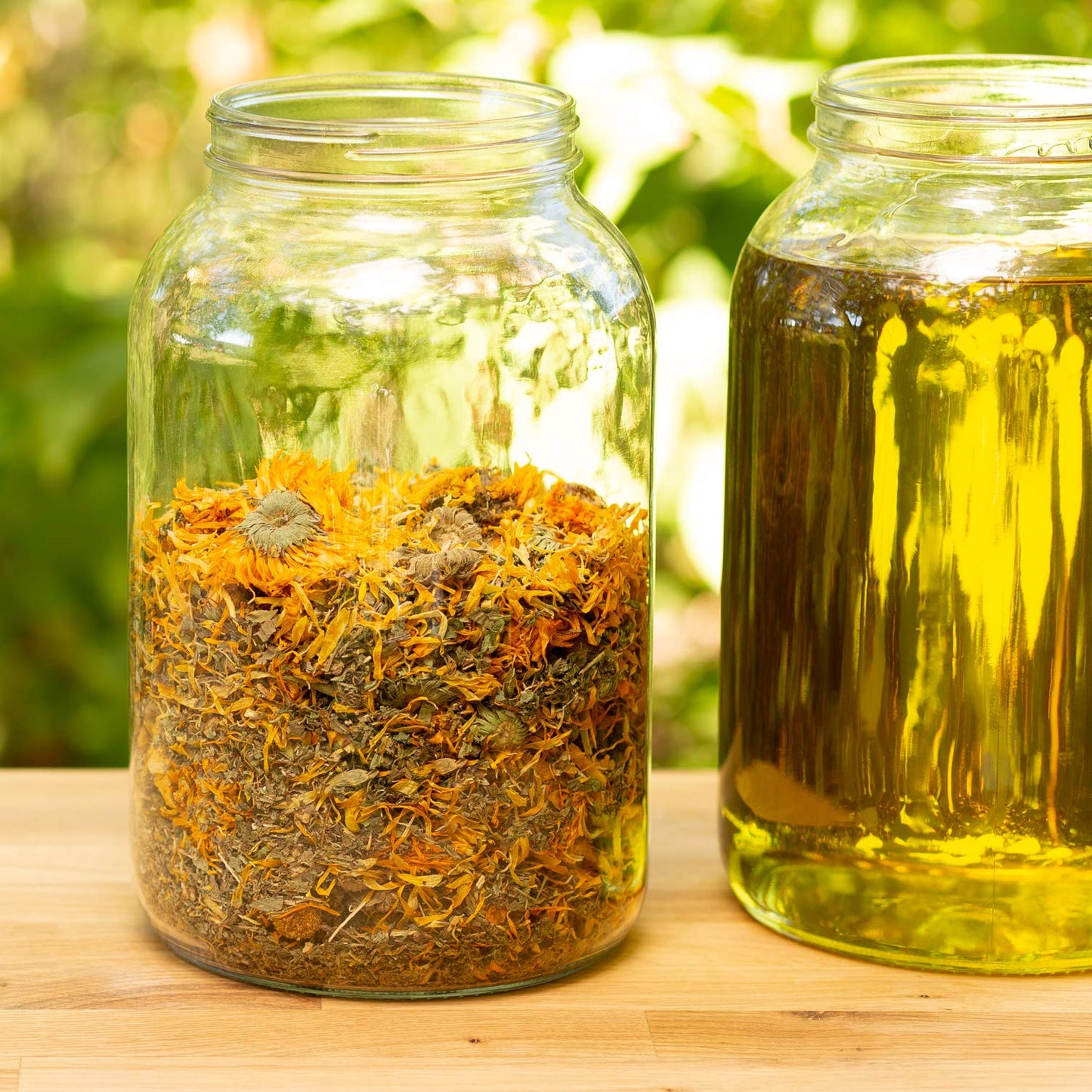 Ora's Amazing Herbal Calendula Skin Salve & Oil Set | Grapeseed Oil, Organic Licorice, Beeswax