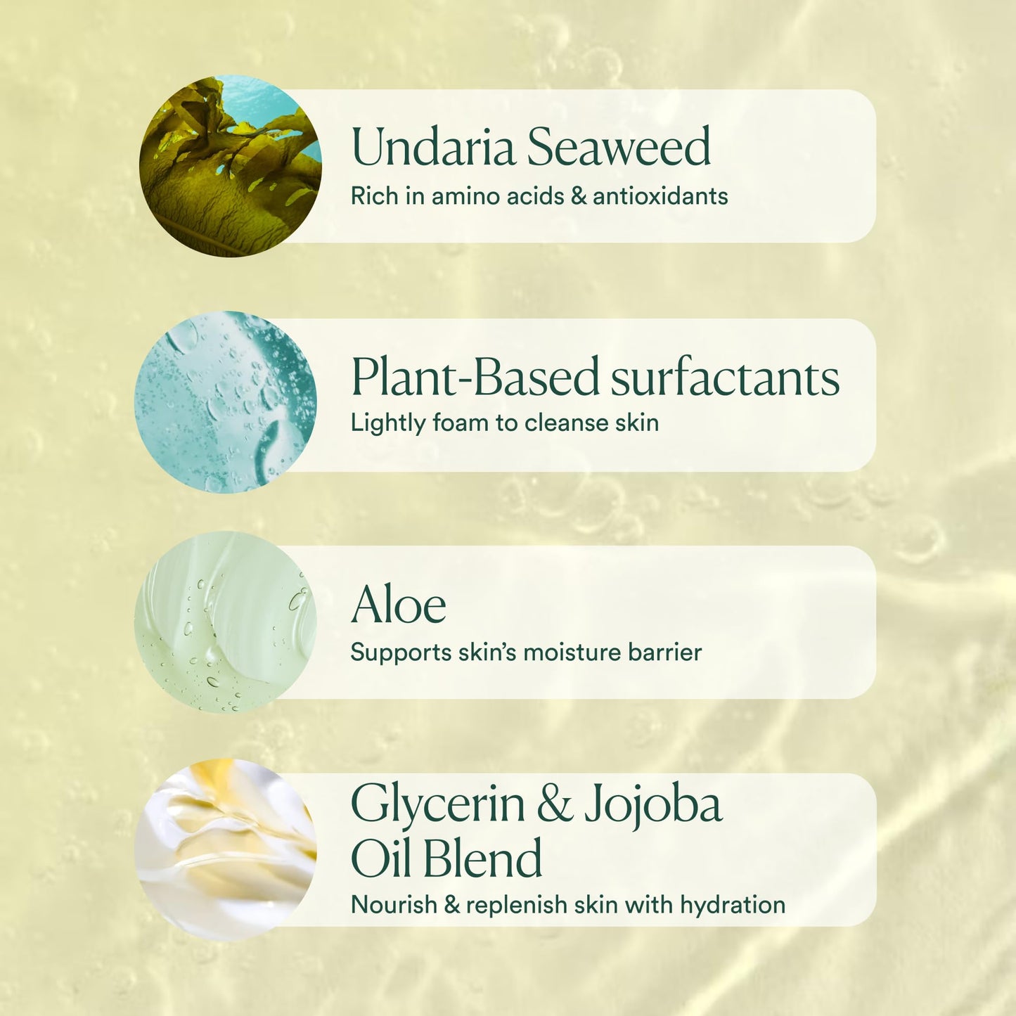 OSEA Undaria Algae Body Wash – pH Balanced Hydrating Cleanser with Citrus Scent, vegan & non-toxic (8oz)