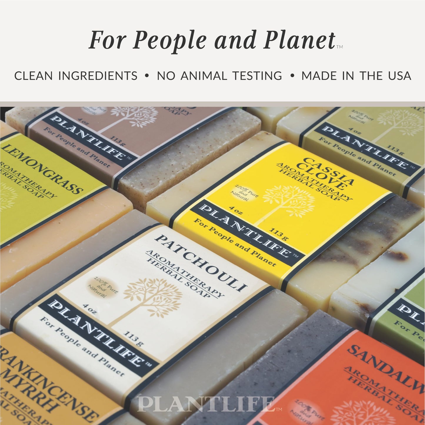 Plantlife Sandalwood 6-Pack Bar Soap – Moisturizing, Hand-Crafted, California-Made