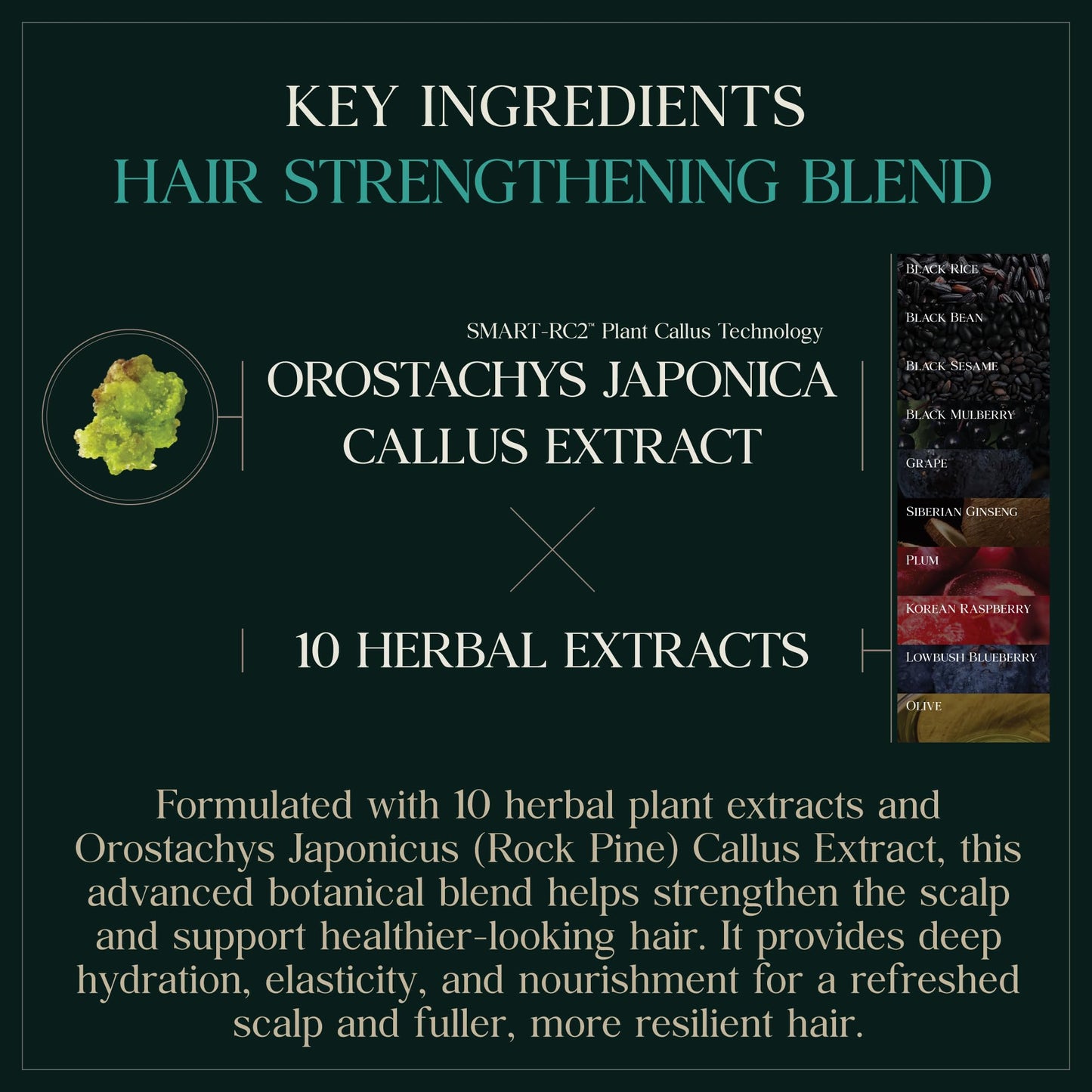 PUREBBLE Anti-Hair Loss Shampoo Botanic Cellcare 500ml – pH Balanced, Sulfate-Free, Color-Safe