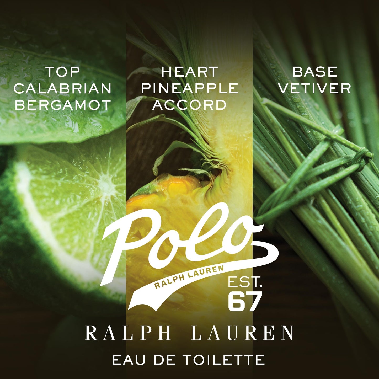 Polo 67 Eau de Toilette for Men by Ralph Lauren Fragrances | Woody & Solar Scent, 0.34 fl oz