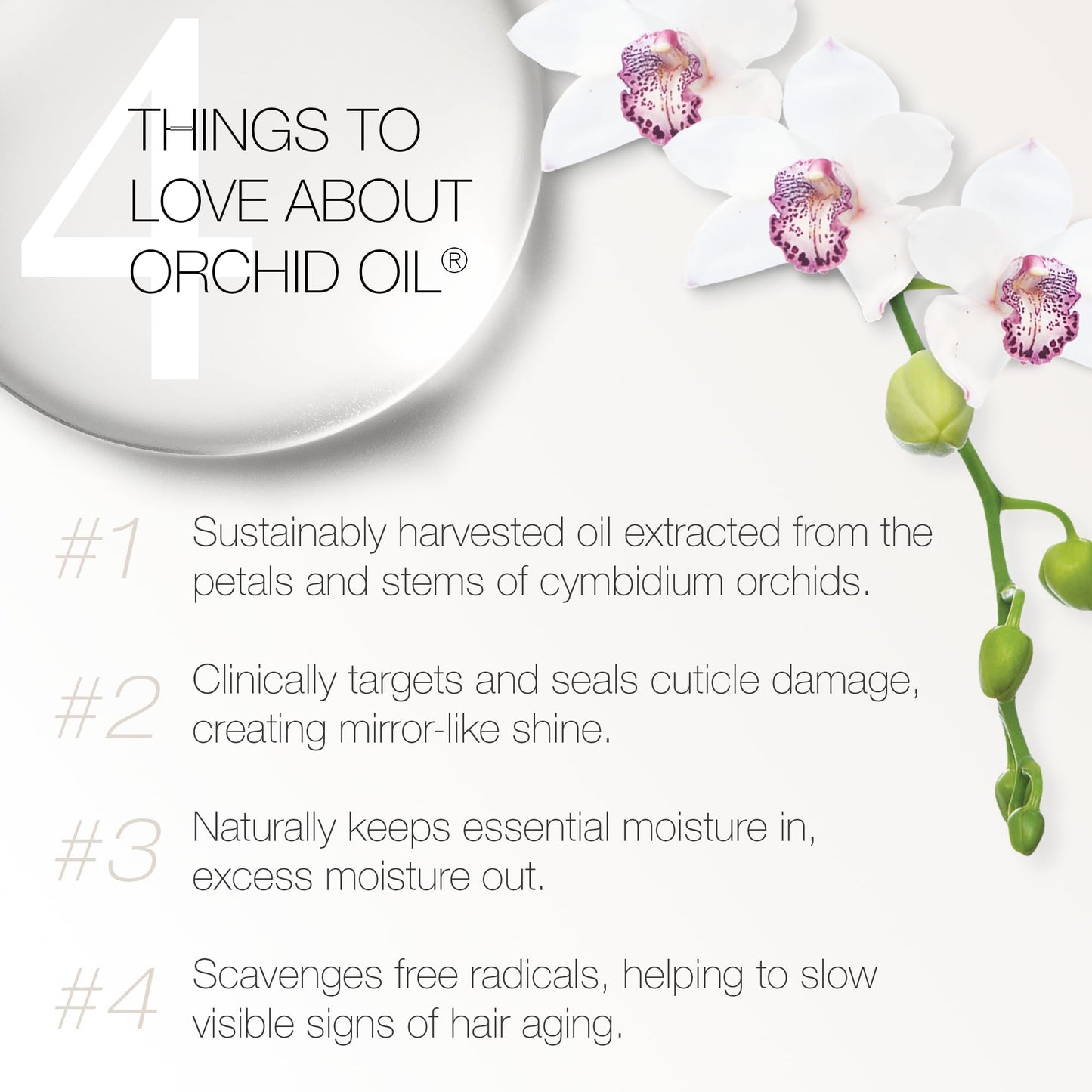 Redavid Orchid Oil Ultra Nourishing Treatment – Luxury Hair Oil for Damaged & Curly Hair | 3 Oz