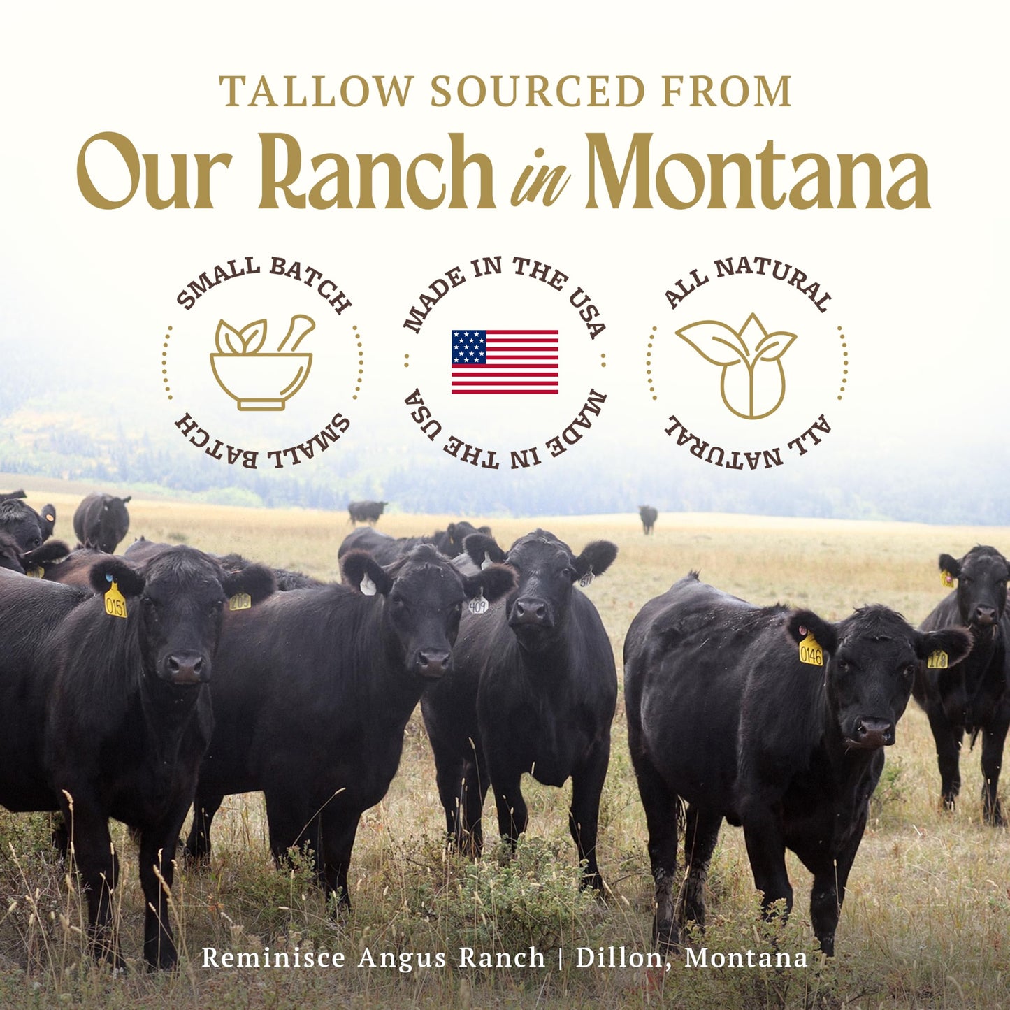 Reminisce Angus Ranch Whipped Tallow Balm — Lavender & Chamomile, Grass-Fed, USA