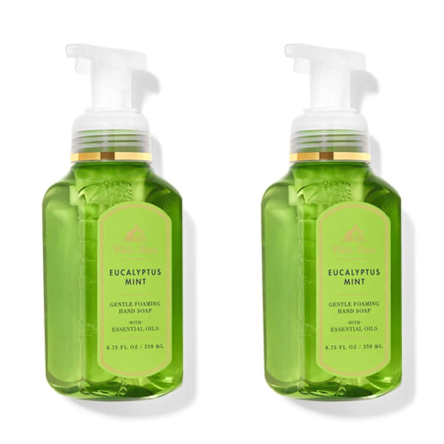 Sameriver Eucalyptus Mint Gentle Foaming Hand Soap - 2-Pack, 8.75 oz