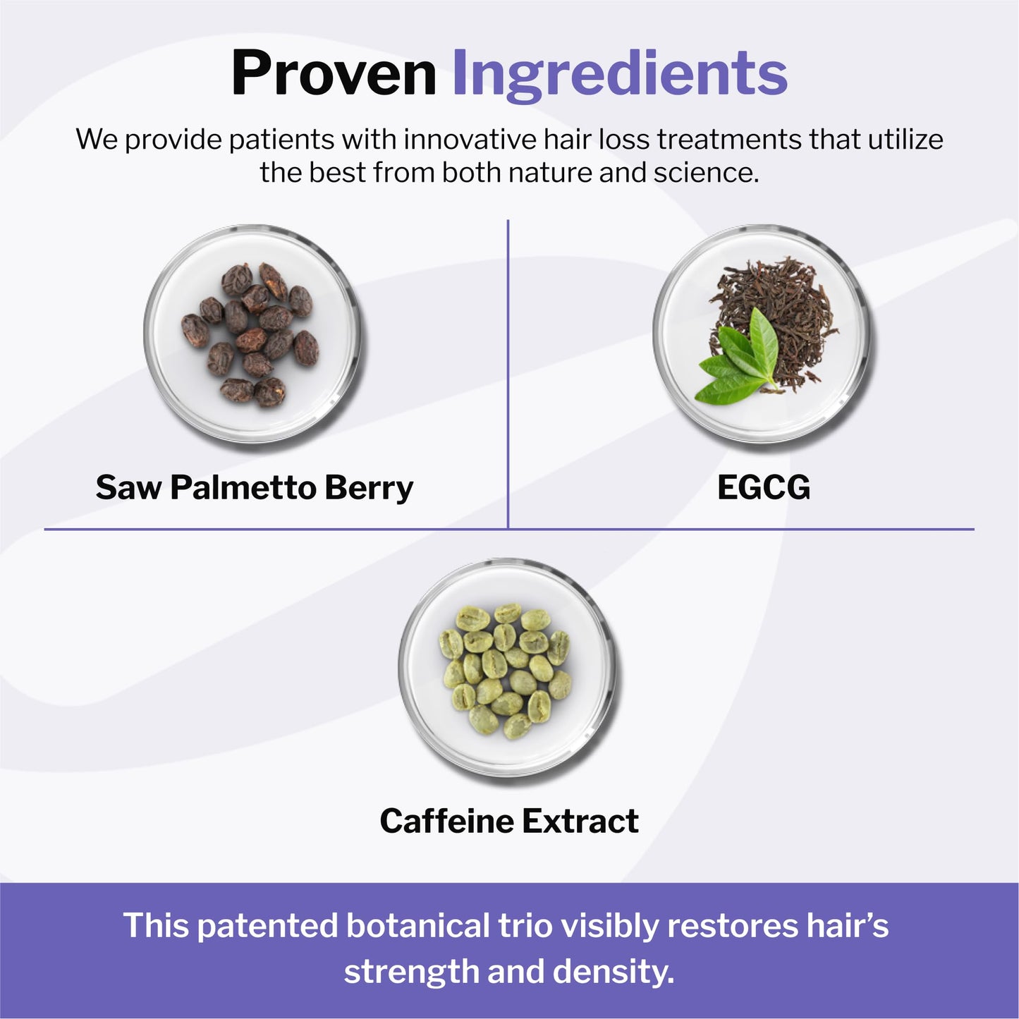Shapiro MD Hair Growth Experts Leave-In Foam | Dermatologist-Developed DHT-Fighting Vegan Formula (2 Month Supply)