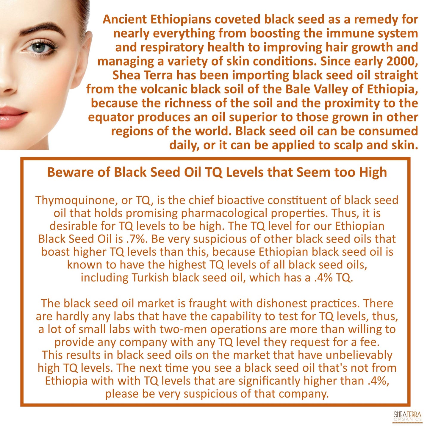 Shea Terra Ethiopian Black Seed Oil – Cold-Pressed Extra Virgin, 8 oz