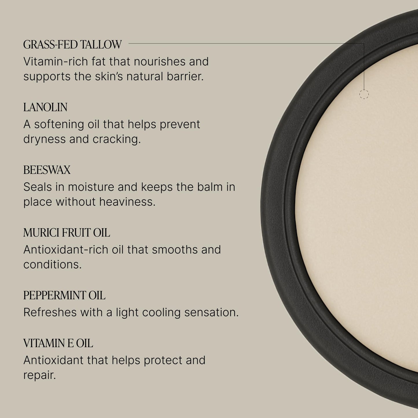TALOVA Peppermint Grass-Fed Tallow Lip Balm – Overnight Lip Mask with Vitamins A, D, E, and K