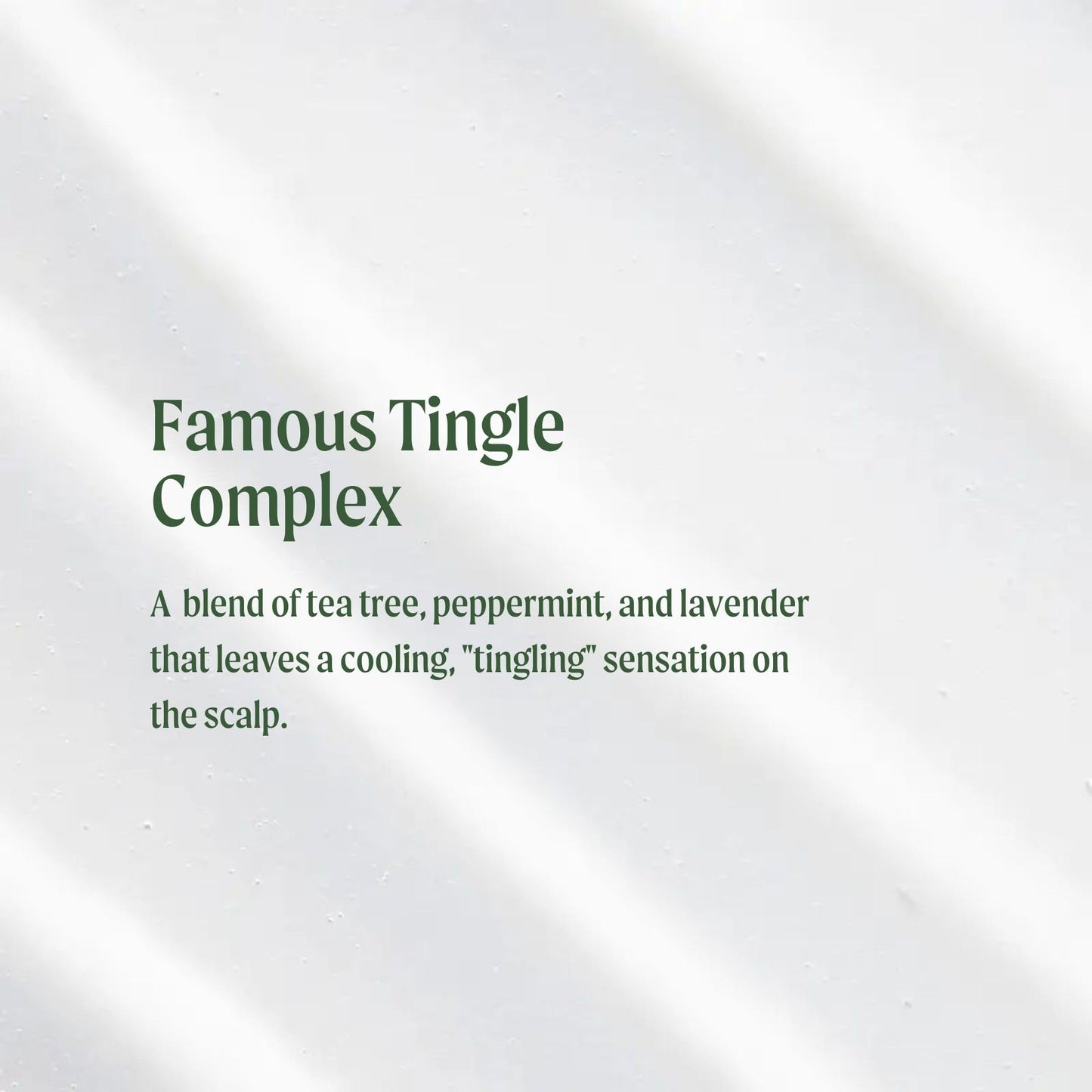Tea Tree Special Conditioner – Detangles, Smooths & Softens for All Hair Types | 33.8 fl oz